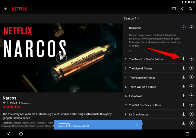 Download movies from netflix mac